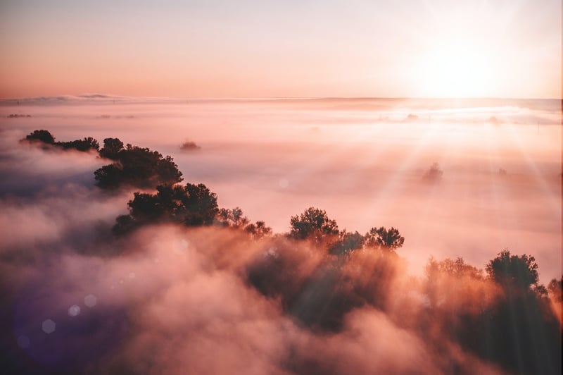 Mindfulness